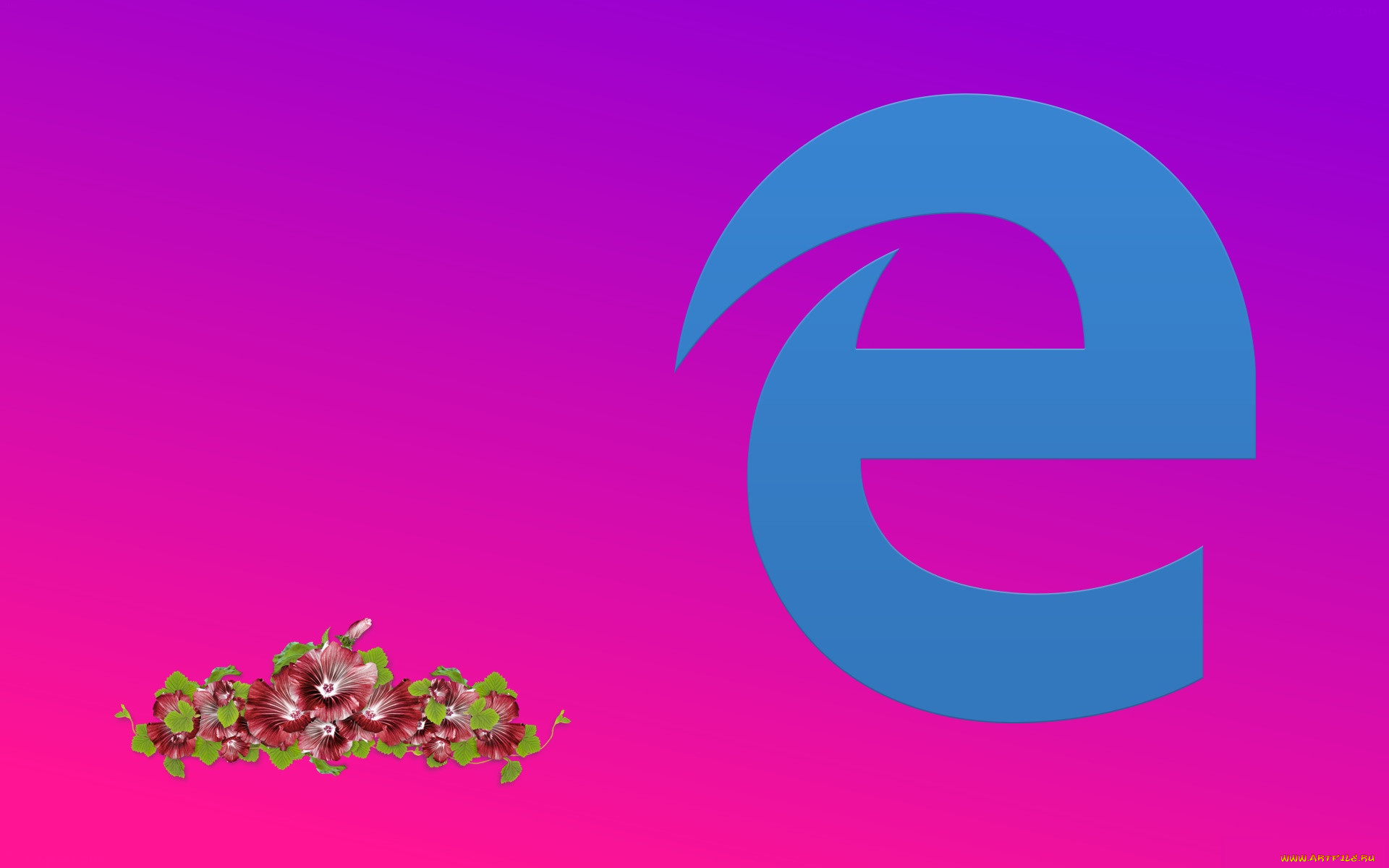 , google,  google chrome, , 